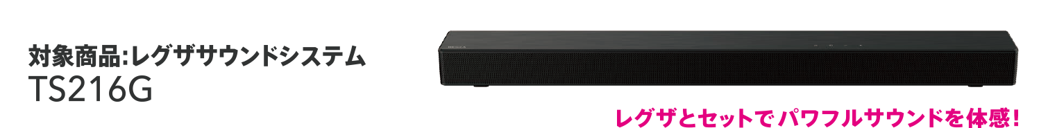 対象商品：レグザサウンドシステム TS216G